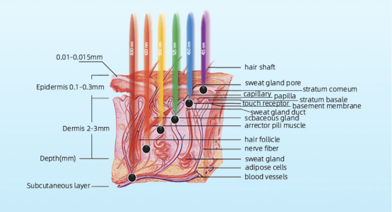 Photodynamic therapy