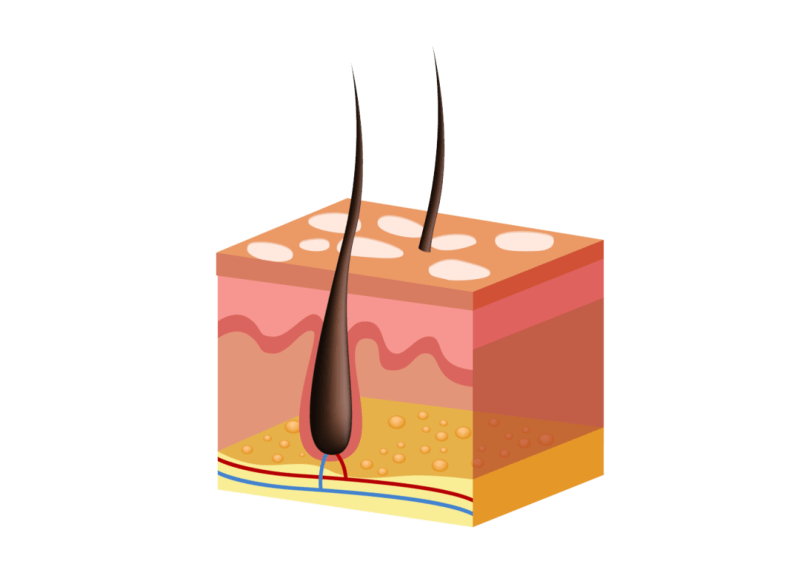 hair mesotherapy